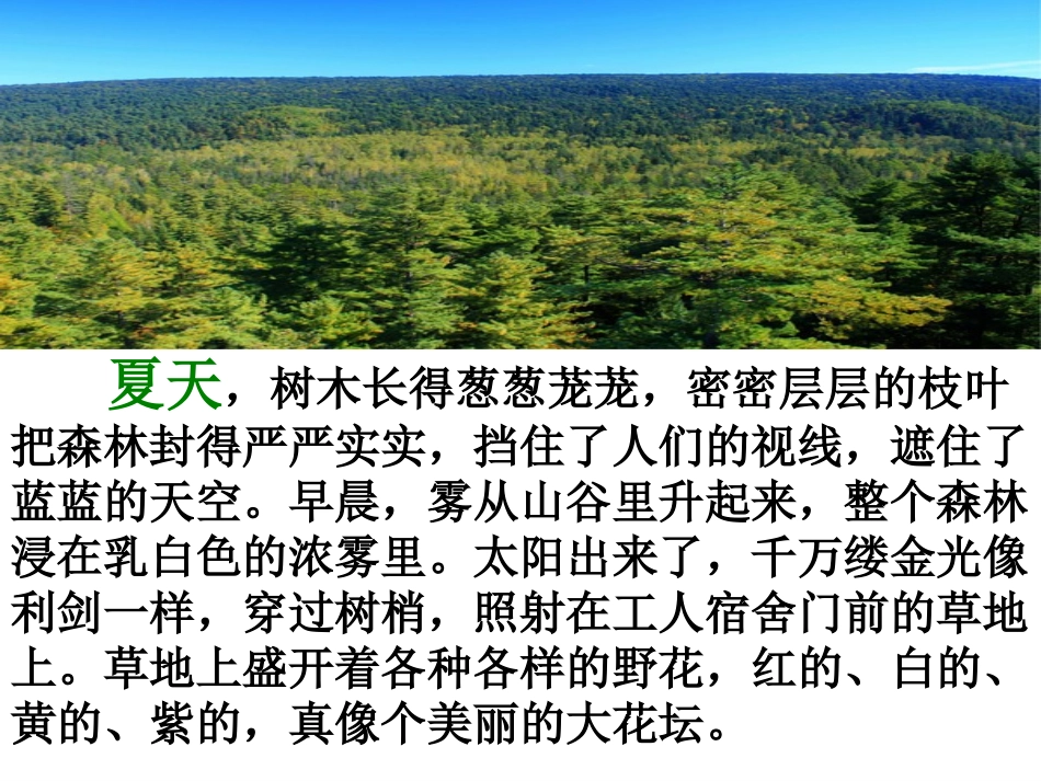 《美丽的小兴安岭》_第2页