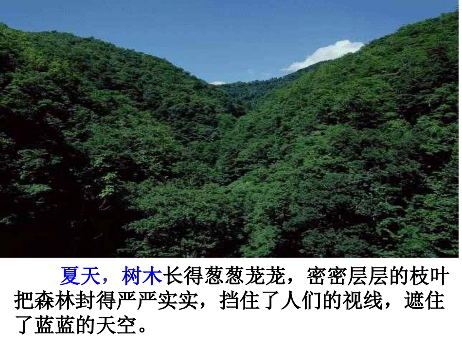 《美丽的小兴安岭》_第3页