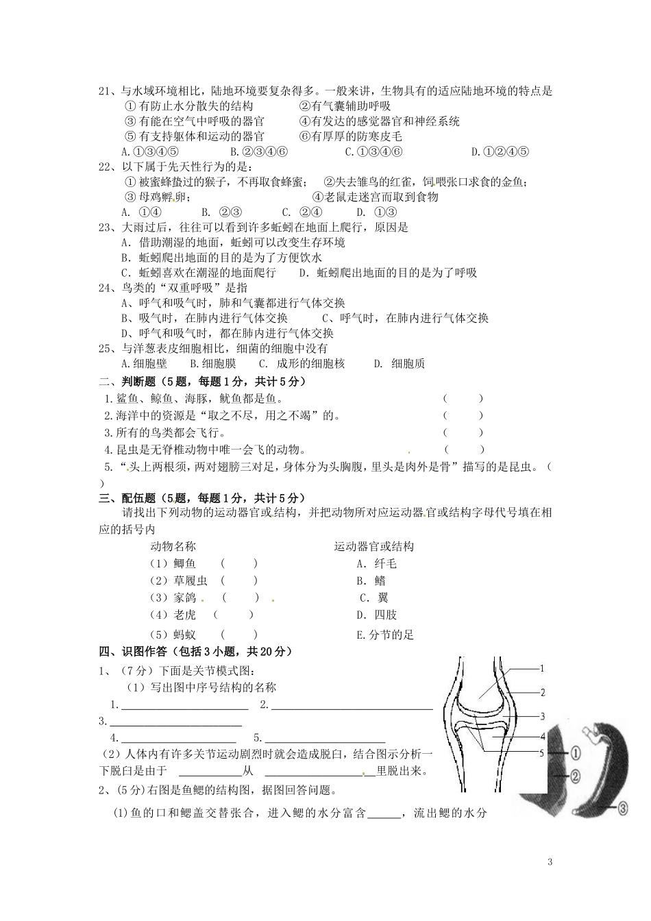 云南省水富县2012-2013学年八年级生物上学期期中试题1 新人教版_第3页