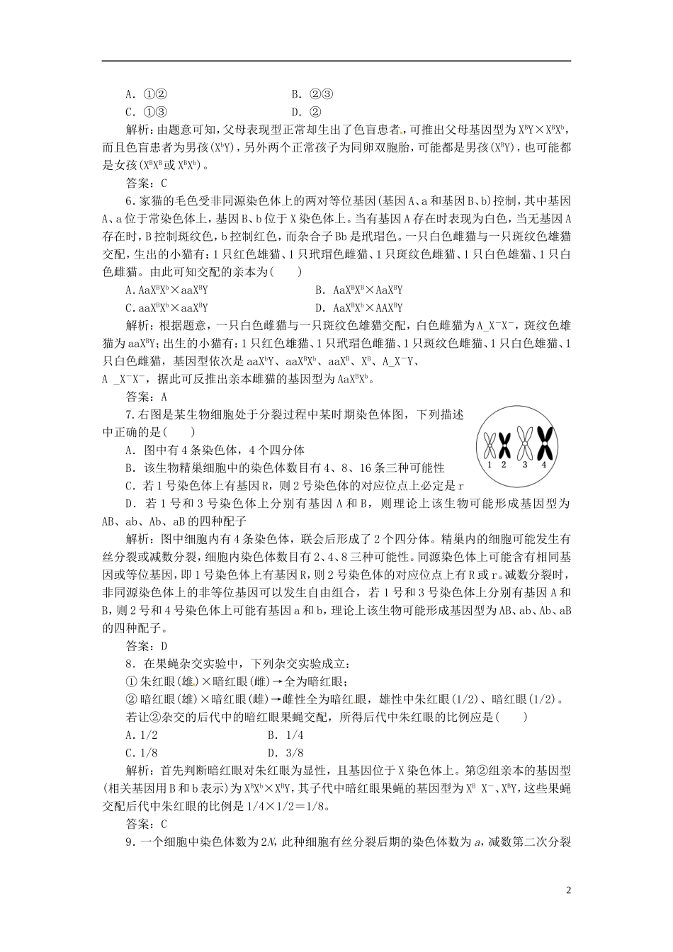 高中生物 基因和染色体的关系阶段质量检测（二）新人教版必修2_第2页