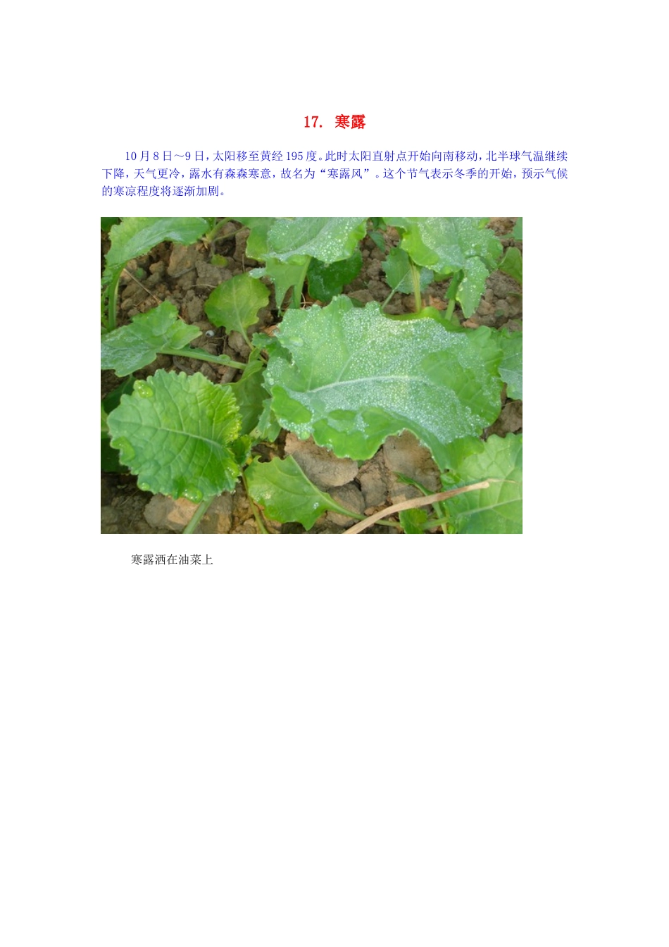 2015年高中地理24节气摄影素材17寒露_第1页