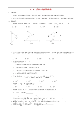 八年级数学下册 6.6  关注三角形的外角同步练习集 北师大版