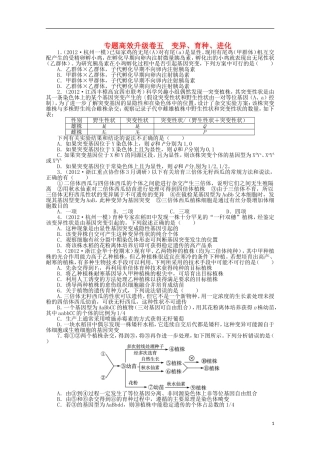 （通用版）2013年高考生物二轮复习 专题五 变异、育种、进化专题升级训练卷