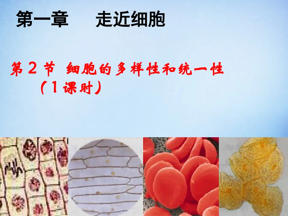 四川省宜宾市南溪区第二中学校高中生物第一章第二节细胞的多样性和统一性课件新人教版必修1_第3页
