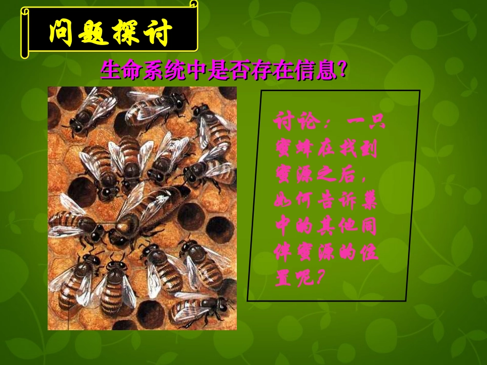 黑龙江省大庆市三十五中高中生物5.4生态系统的信息传递课件新人教版必修3_第3页