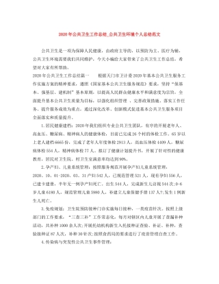 2020年公共卫生工作总结_公共卫生环境个人总结范文