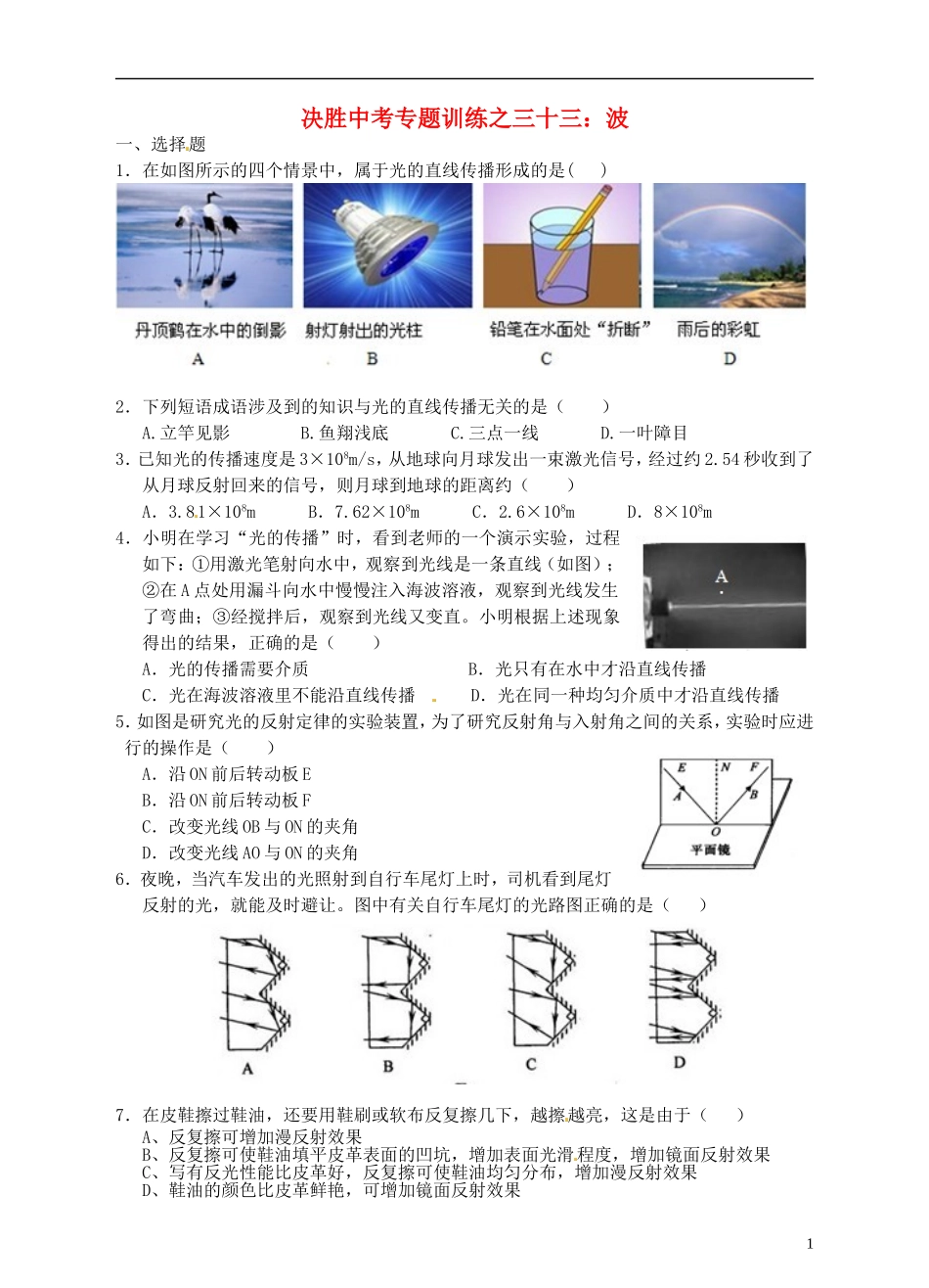 浙江省温州市平阳县鳌江镇第三中学中考科学 决胜专题训练之三十三 波 浙教版_第1页