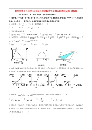 重庆市2013届九年级数学下学期诊断考试试题 湘教版
