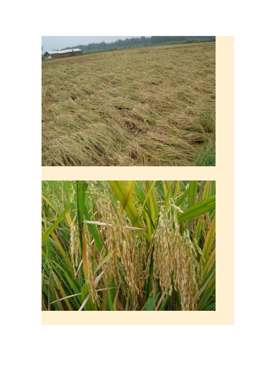 2015年高中地理24节气摄影素材16秋分_第2页