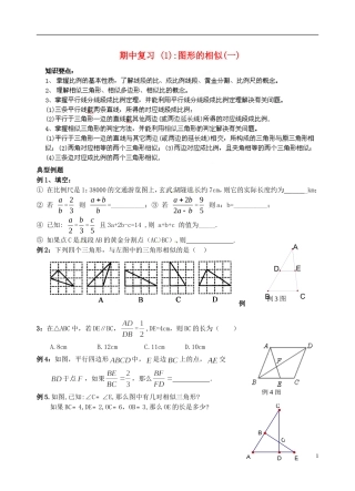 江苏省昆山市兵希中学八年级数学下学期期中复习 图形的相似（一）（无答案） 苏科版