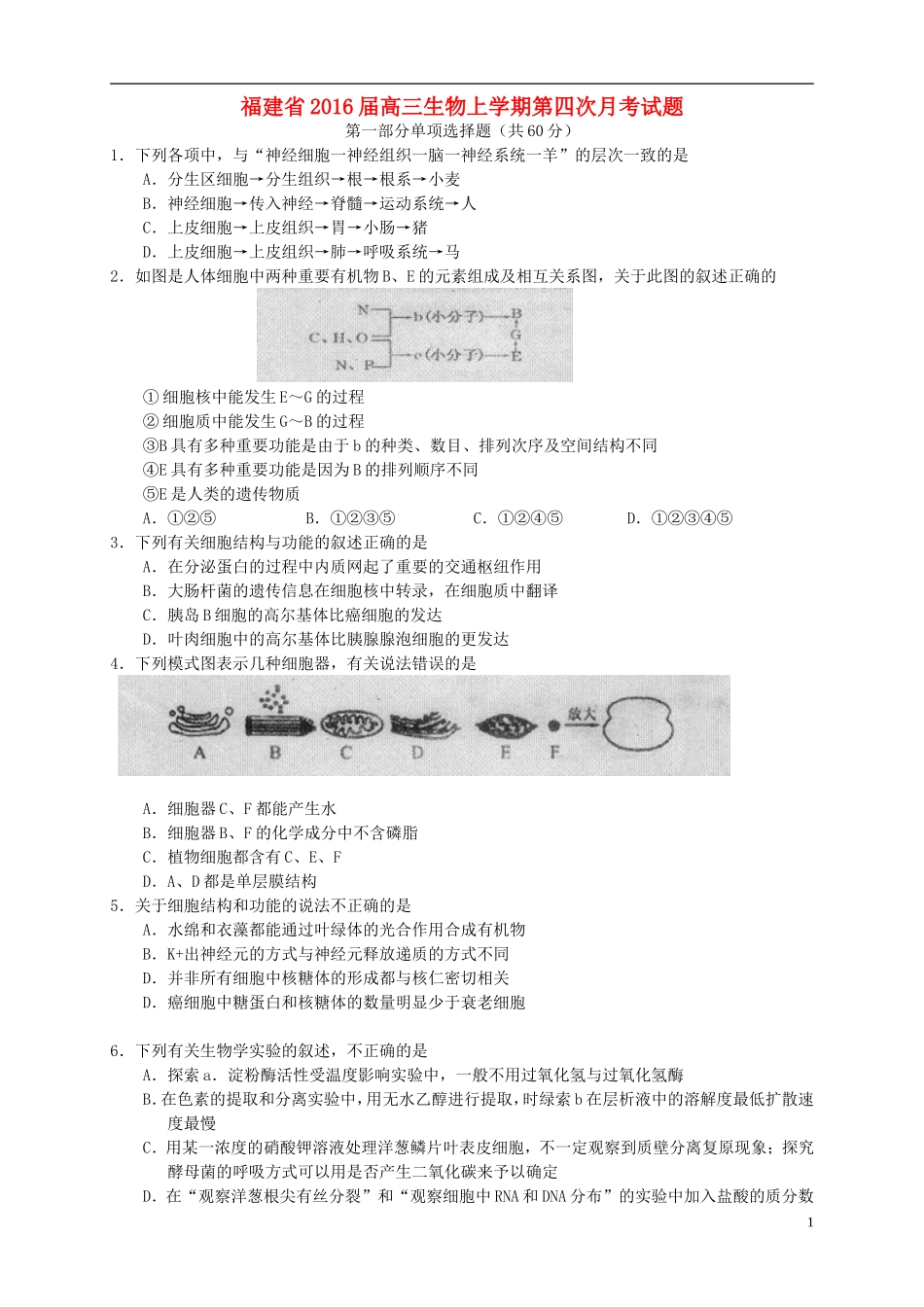 福建省2016届高三生物上学期第四次月考试题_第1页