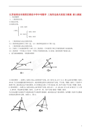 江苏省淮安市淮阴区棉花中学中考数学 三角形边角关系复习教案 新人教版