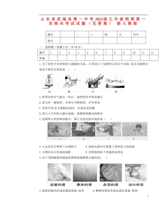 山东省武城县2013届九年级物理第一次练兵考试试题（无答案） 新人教版