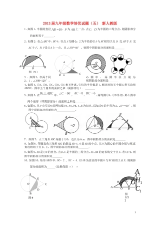 2013届九年级数学培优试题（五）（无答案） 新人教版