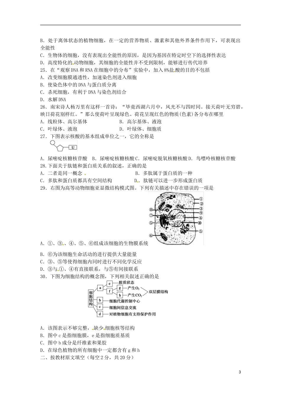 湖南省邵阳市邵东县第三中学2015_2016学年高一生物上学期期中试题_第3页