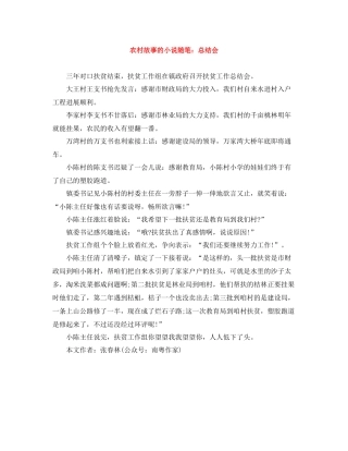 农村故事的小说随笔总结会