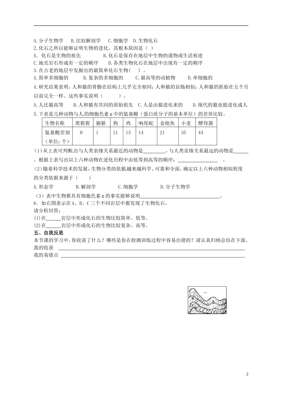 八年级生物下册5.1.2生物进化的证据学案无答案新版济南版_第2页