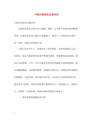 中国共青团员自我评价