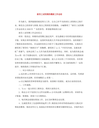 新员工试用期的工作总结