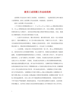 新员工试用期工作总结范例