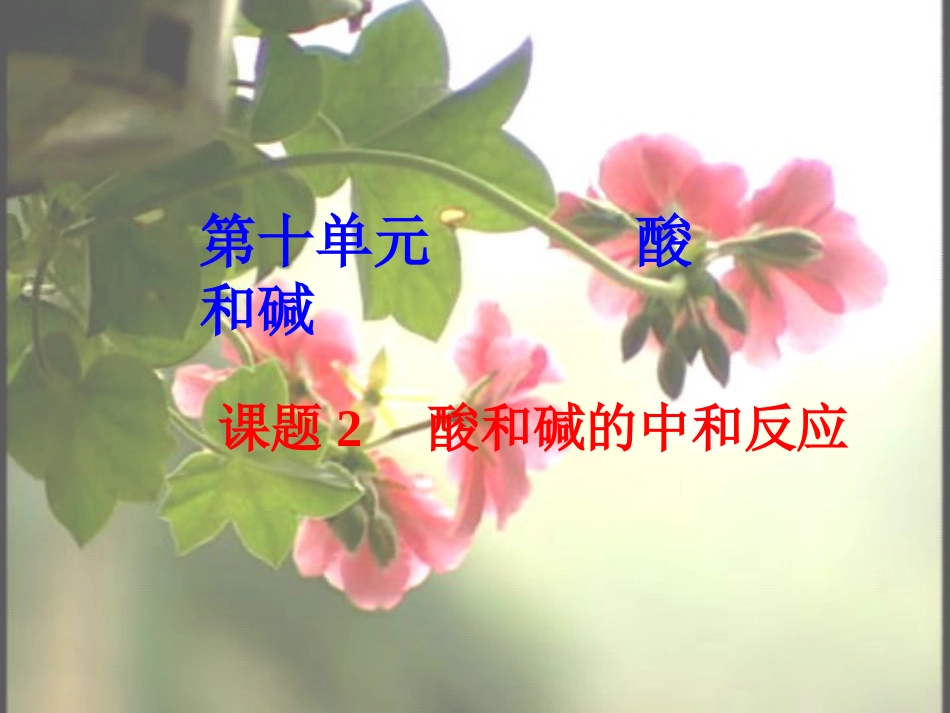 北京市和平北路学校中考化学第十单元酸和碱复习课件_第1页