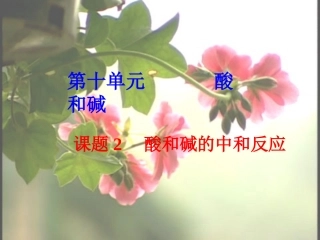 北京市和平北路学校中考化学第十单元酸和碱复习课件