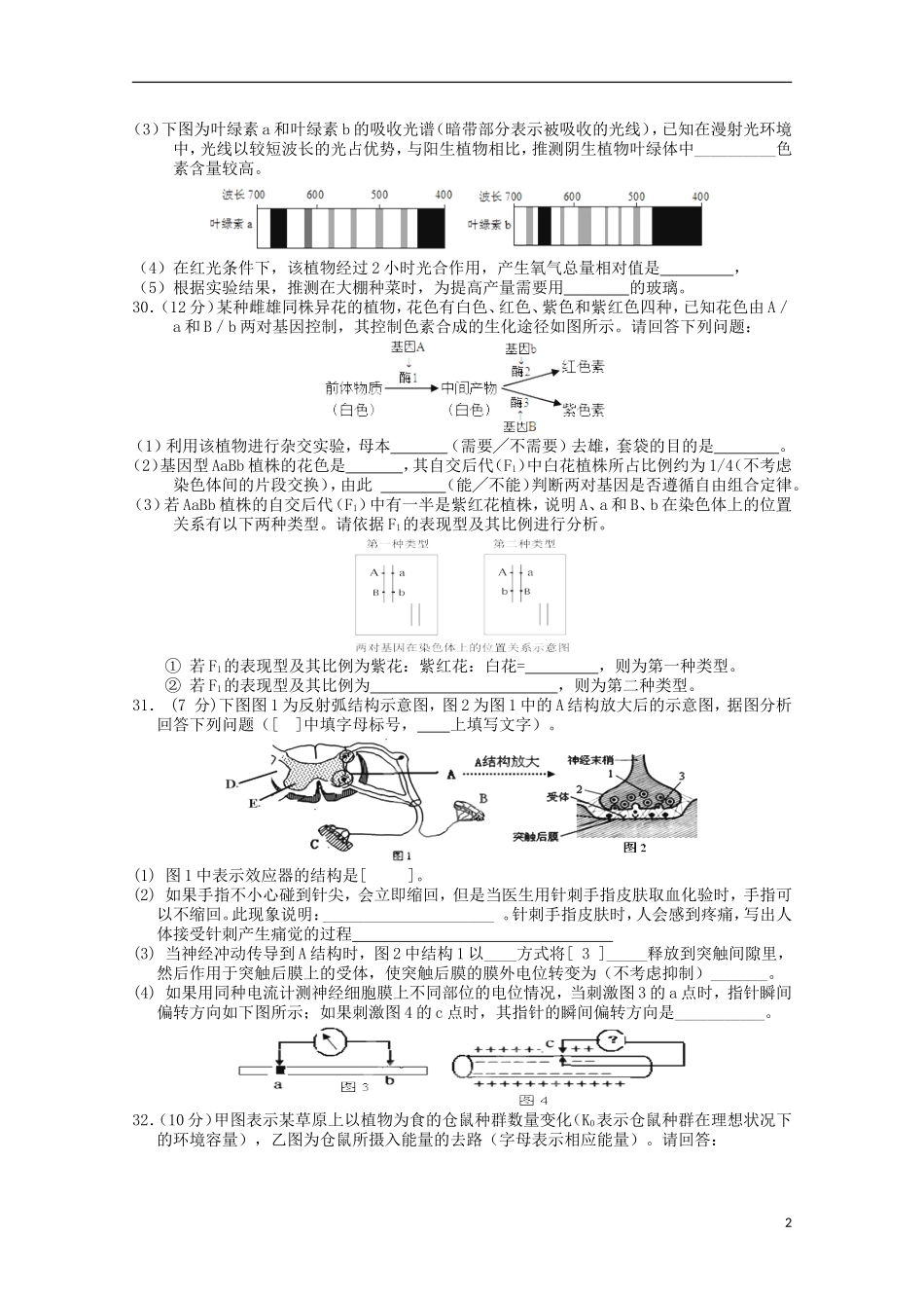 甘肃省张掖二中2016届高三生物上学期10月月考试题含解析_第2页