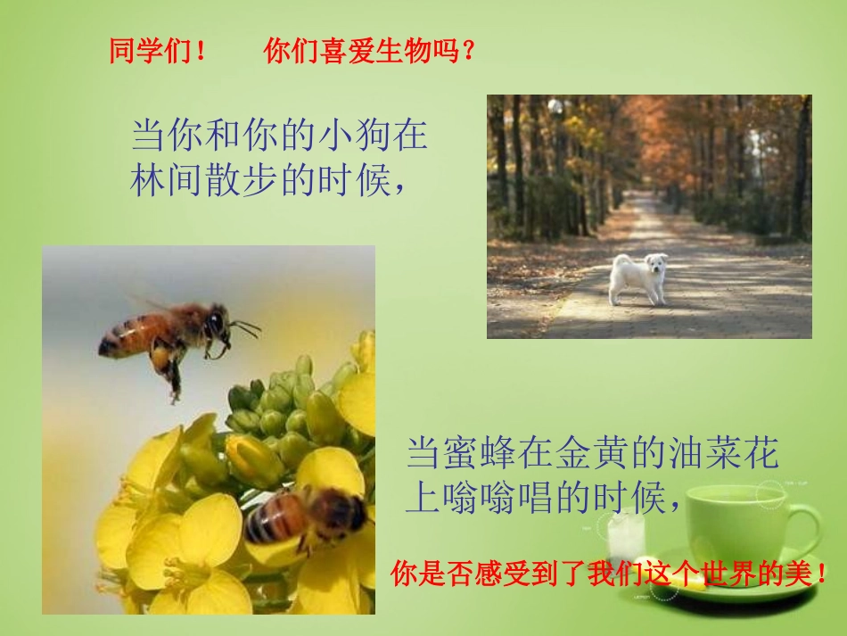 甘肃省临洮县洮阳初级中学2015年七年级生物上册致同学们课件新版新人教版_第1页