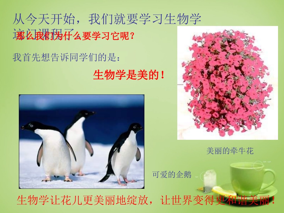 甘肃省临洮县洮阳初级中学2015年七年级生物上册致同学们课件新版新人教版_第3页