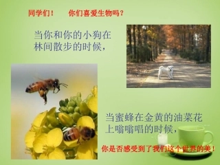 甘肃省临洮县洮阳初级中学2015年七年级生物上册致同学们课件新版新人教版