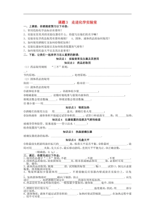 广东省河源市南开实验学校九年级化学上册1.3走进化学实验室学案无答案新版新人教版