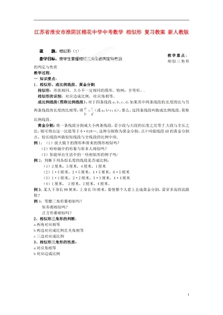 江苏省淮安市淮阴区棉花中学中考数学 相似形 复习教案 新人教版
