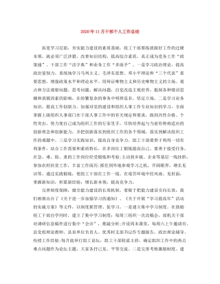 2020年11月干部个人工作总结