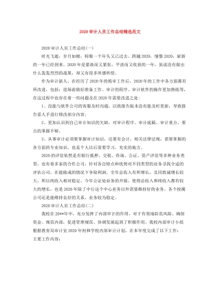 审计人员工作总结精选范文