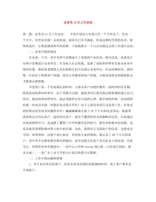 业务员12月工作总结