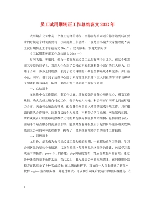 员工试用期转正工作总结范文2