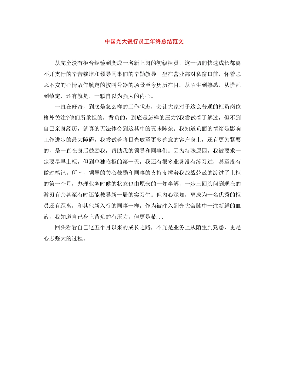中国光大银行员工年终总结范文_第1页