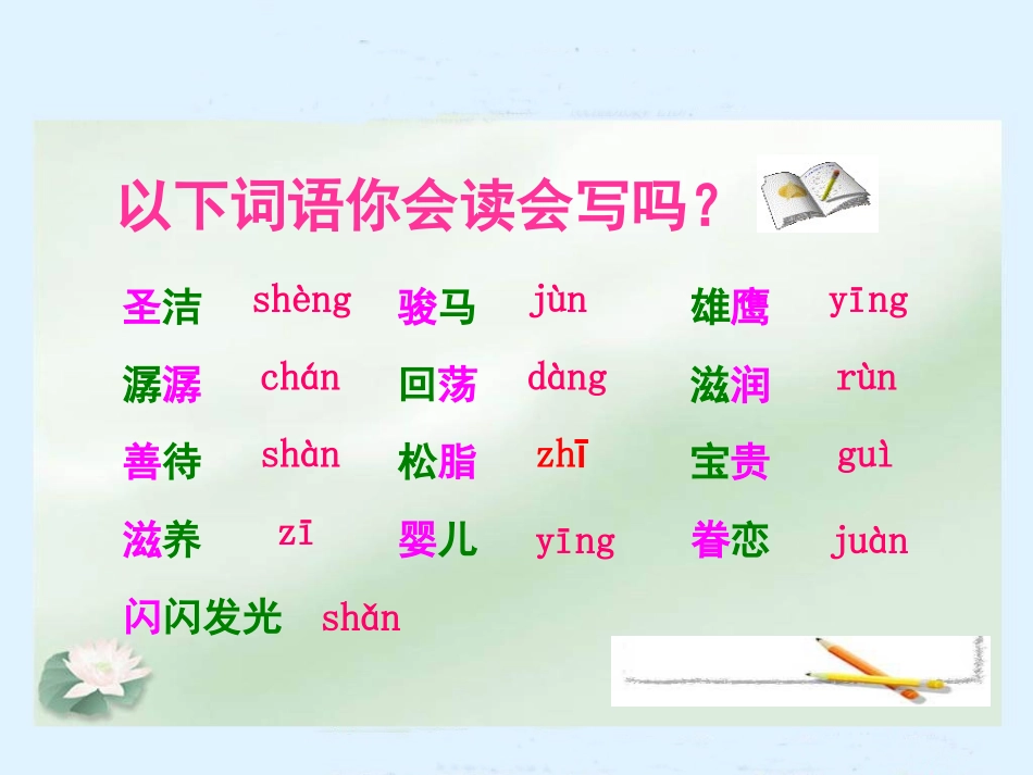 这片土地是神圣的38_第3页