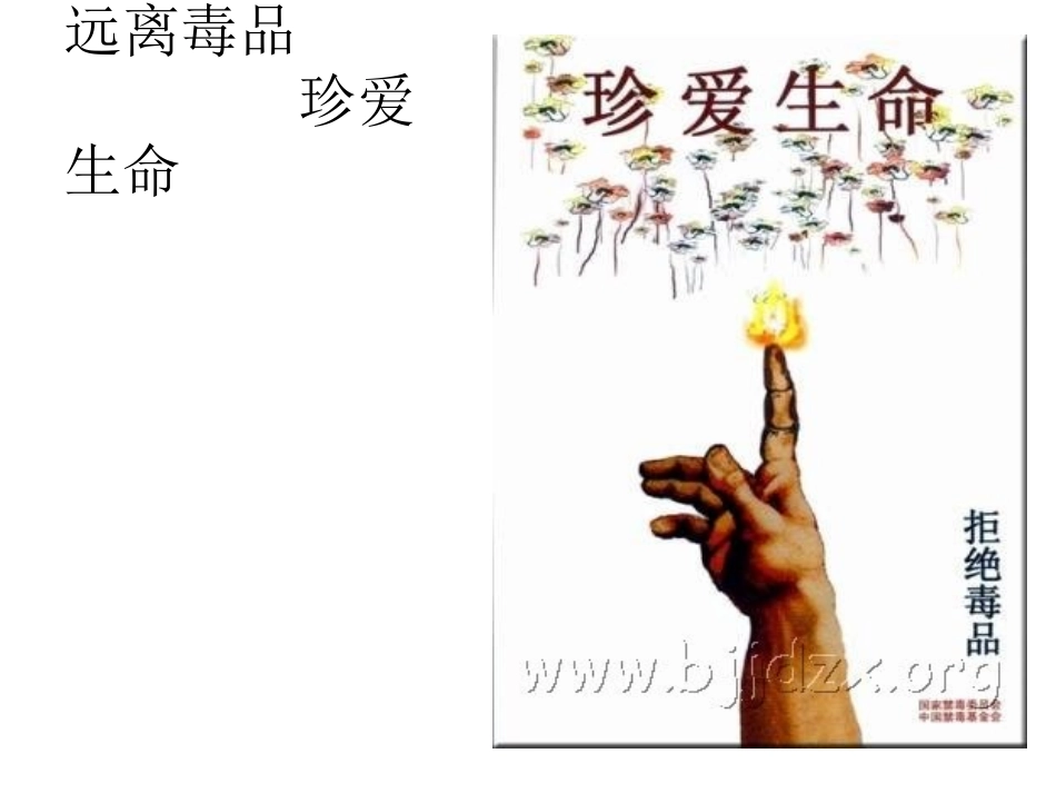 禁毒资料宣传片_第1页