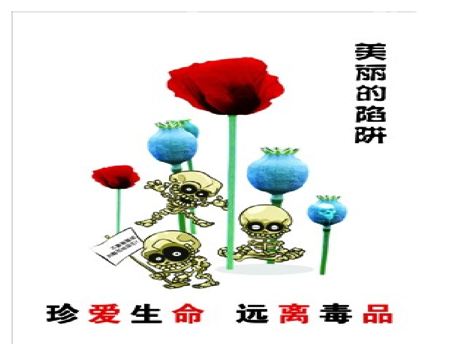 禁毒资料宣传片_第2页