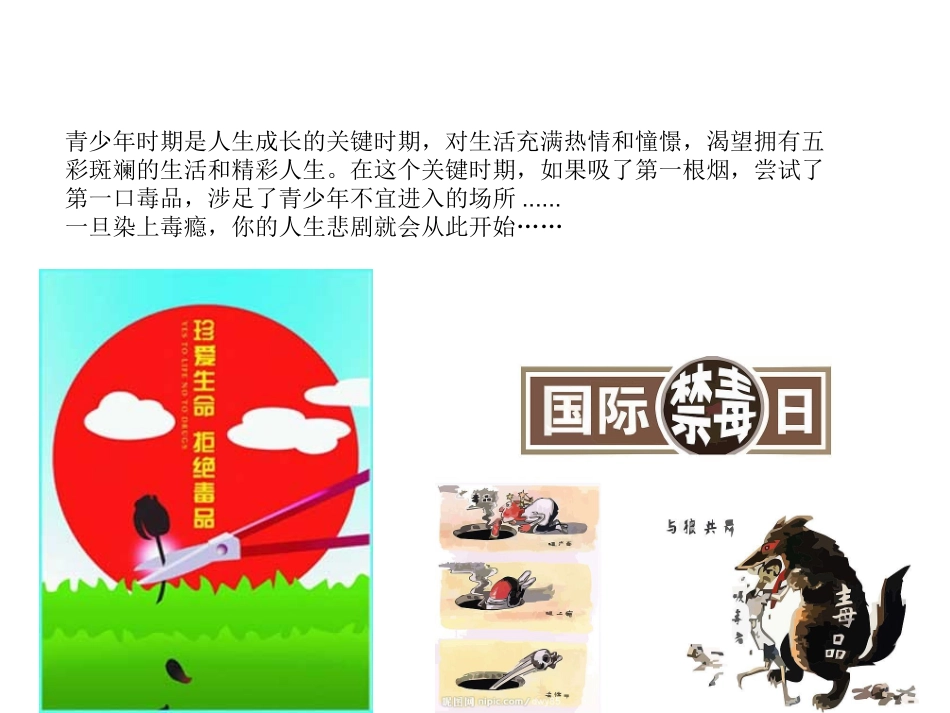 禁毒资料宣传片_第3页