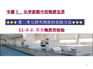 常见物质的检验苏教版化学必修