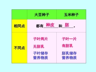 第二节+种子植物第二课时