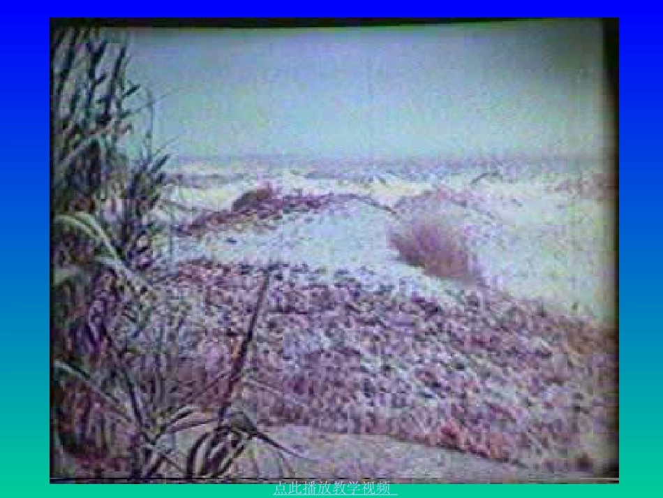 四年级《观潮》课件1 (2)_第3页