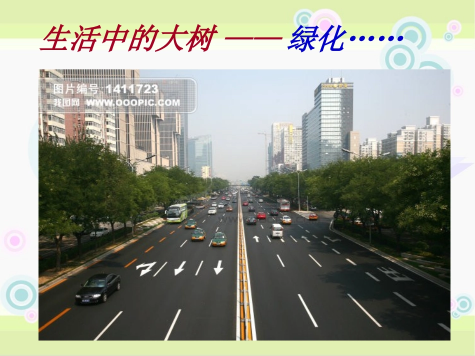 大树的故事00郑汉中_第3页