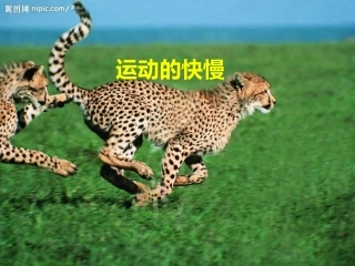 运动的快慢(上课用）