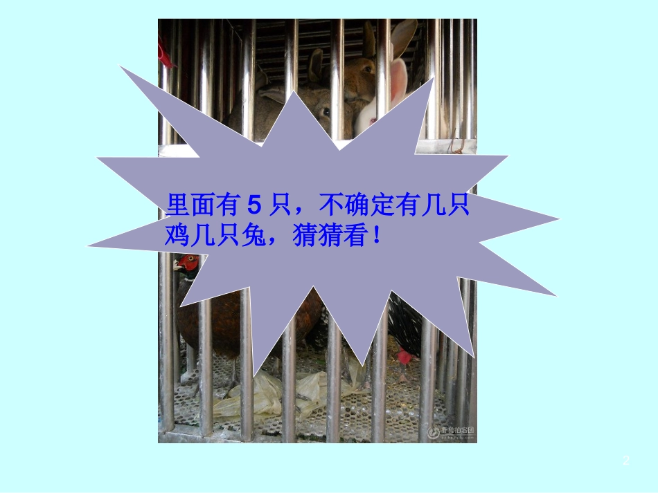 鸡兔同笼 (3)_第2页