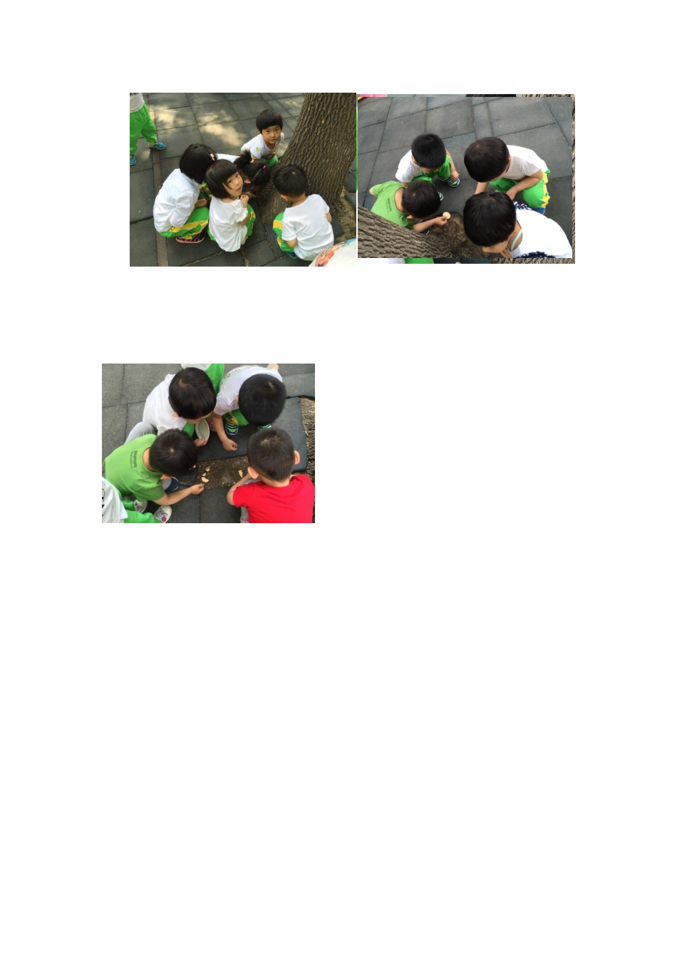 韩培教育故事《和蚂蚁做朋友》_第3页