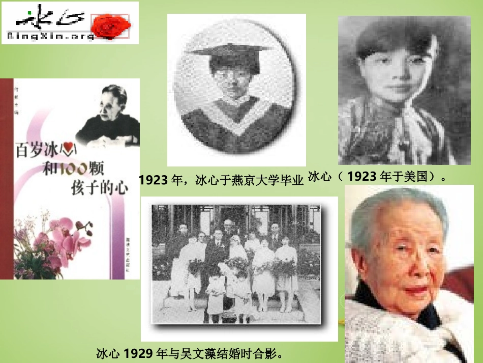 广东省广州市花都区赤坭中学九年级语文下册9谈生命课件3新人教版_第2页