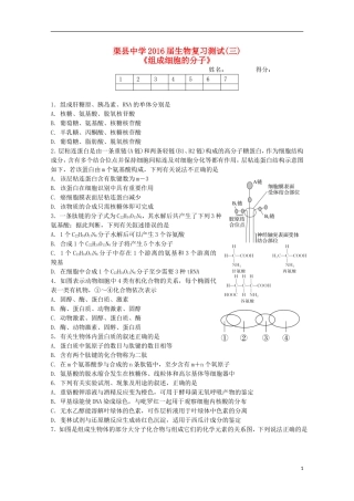四川省渠县中学2016届高三生物复习测试试题三